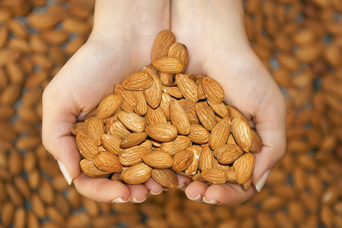 How Many Almonds To Eat Per Day – Nuts Pick