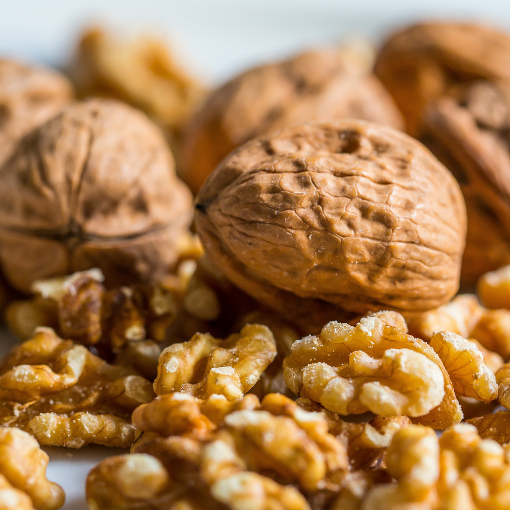 Buy Walnuts in the UK