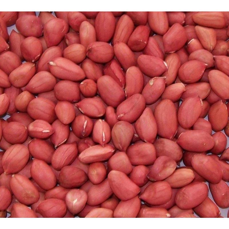 Pearls Cacahuètes à Peau Rouge BIO 1kg – Non torréfiées et non salées –  Crues – D'Ouzbékistan : : Epicerie
